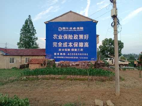 城固墙体广告的优劣势你知道吗?